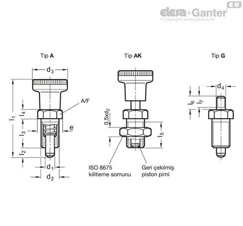 GN 617-NI İndeksleme pistonları Plastik topuzlu paslanmaz çelik